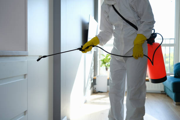 Best Mold Remediation for Healthcare Facilities  in Antelope, CA