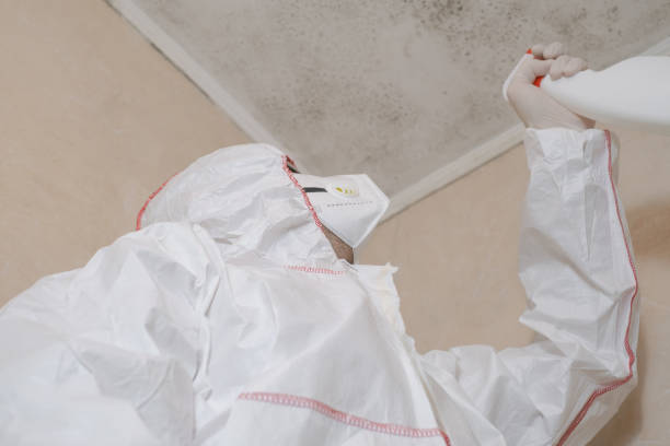 Best Mold Odor Removal Services  in Antelope, CA